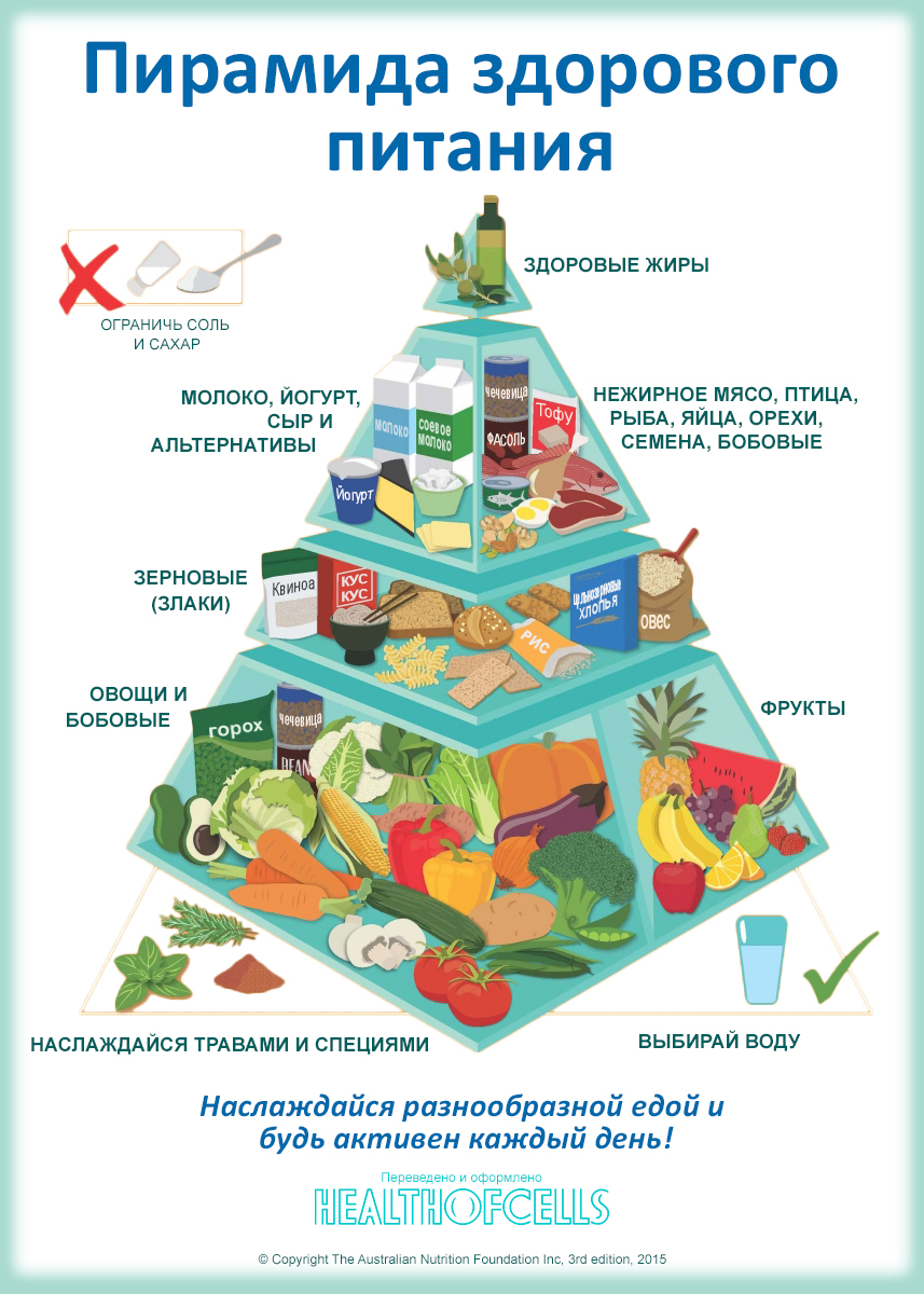 Пищевая Пирамида Правильного Питания